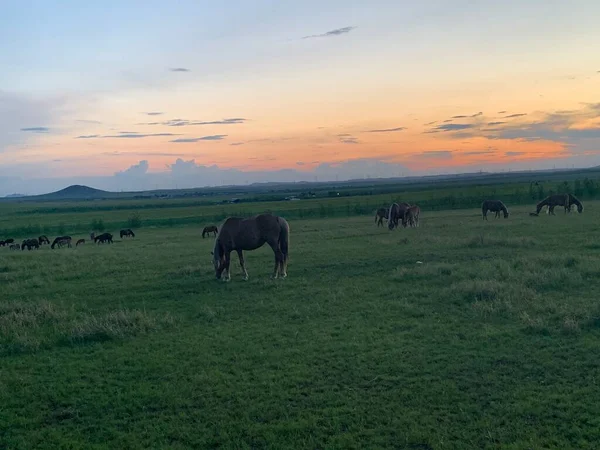 beautiful view of the nature of the valley in the morning