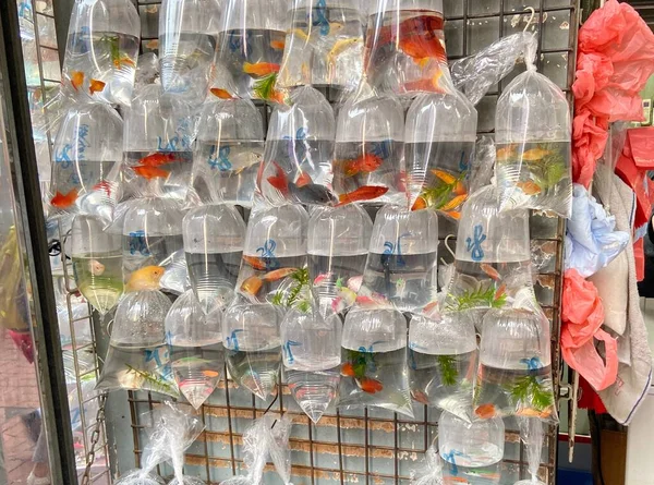 many different types of plastic bottles in a row