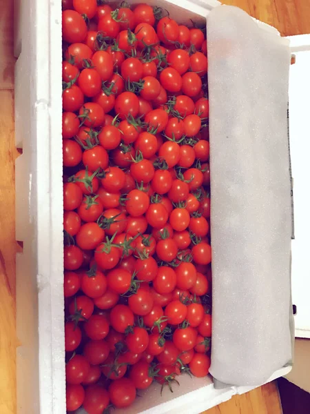 fresh red tomatoes in a box