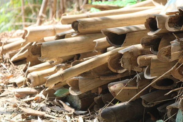 pile of wood logs in the forest