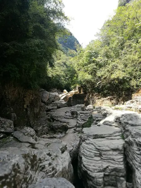 beautiful landscape with a waterfall in the forest