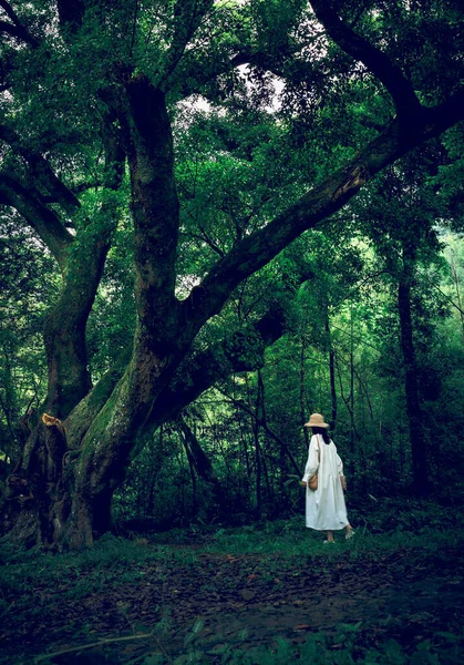 Beautiful Young Woman Dress Veil Forest — Stock Photo, Image