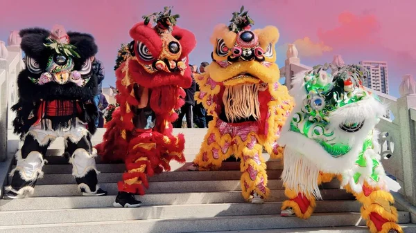the dragon festival of the city of the new year