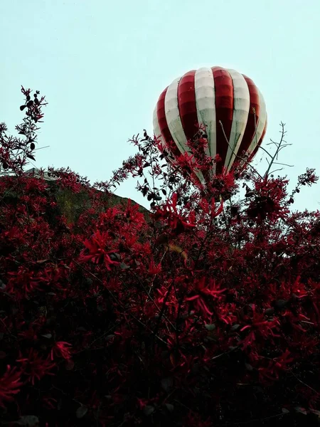 red hot air balloon in the park