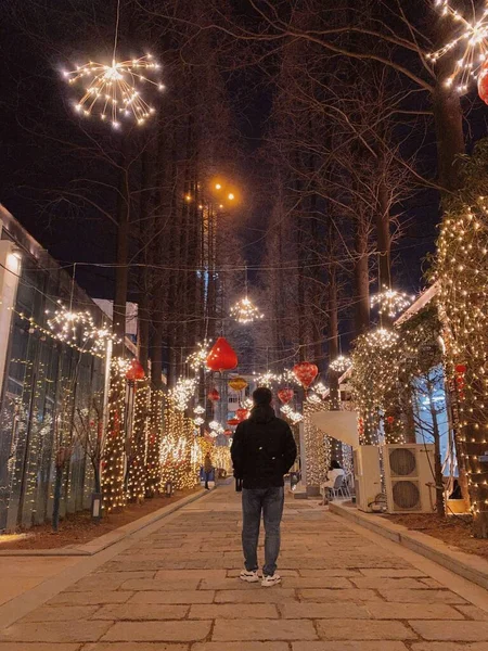 christmas tree in the city