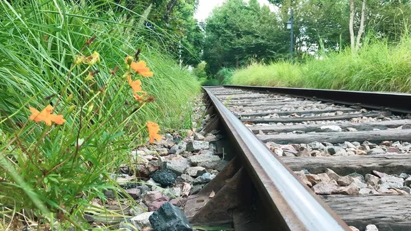 railway tracks on the road