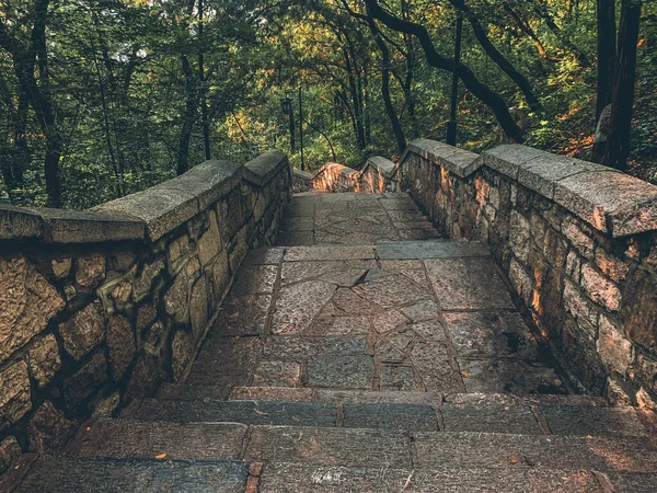 old stone stairs in the forest