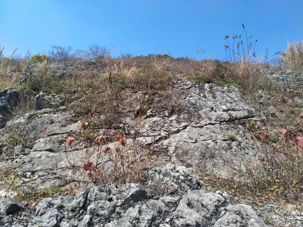 a large stone wall of a mountain ash in the mountains