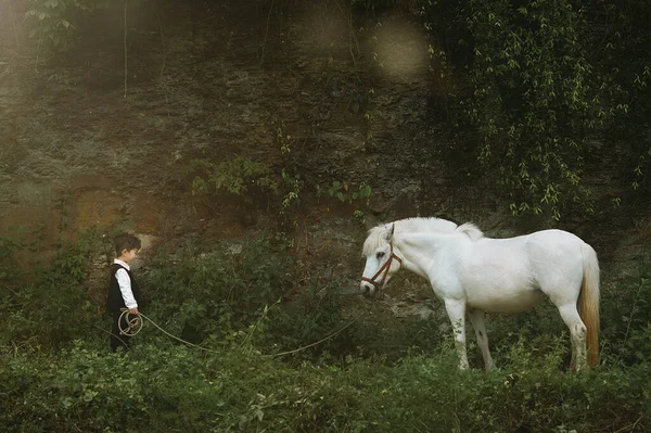 Young Couple Love Horse — Stock Photo, Image