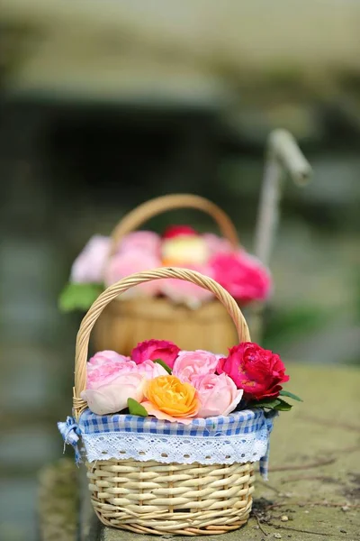 basket with beautiful flowers in the garden