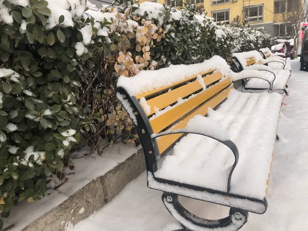 snow covered bench in the park