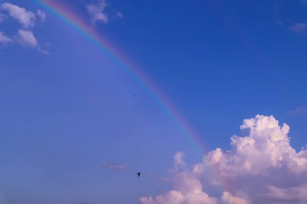 rainbow sky with clouds and blue skies