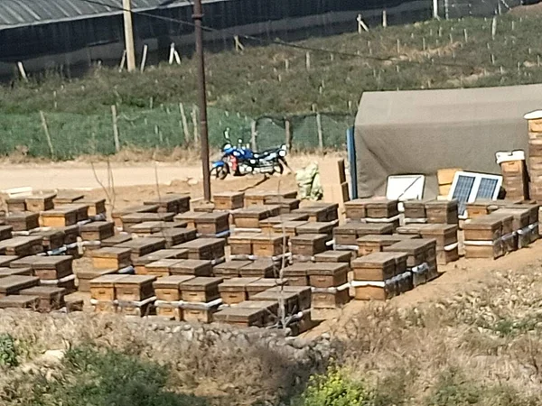 construction of a wooden pallets in the yard