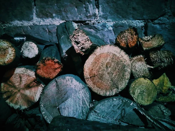 old wooden logs in the forest