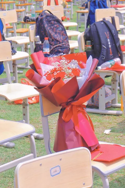 colorful chairs in the park