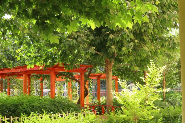 red gate in the garden