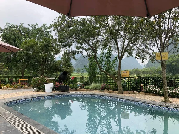 beautiful swimming pool in the garden