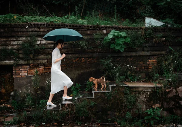 Young Beautiful Woman Black Dress Umbrella Park — Stock Photo, Image