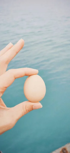 hand holding a white egg in the hands of a woman's shell
