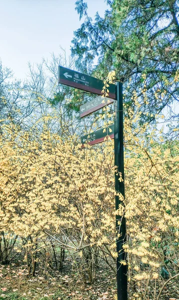 a vertical shot of a wooden signpost with a yellow sign on a background of blue sky