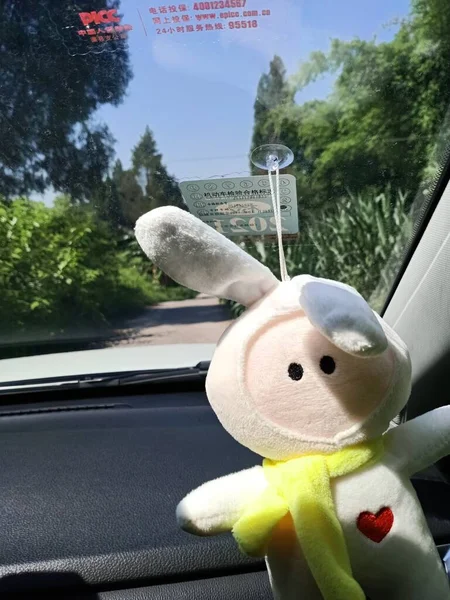 teddy bear in the car