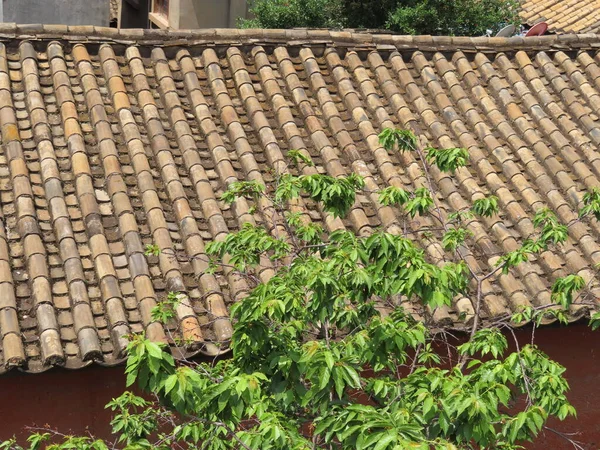 roof tiles in the garden