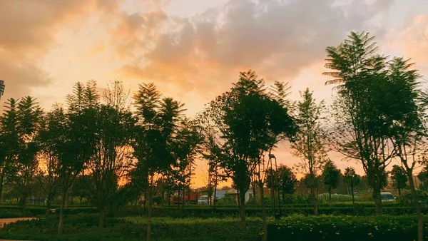 Hermoso Atardecer Parque — Foto de Stock