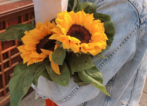 beautiful bouquet of sunflowers in a basket