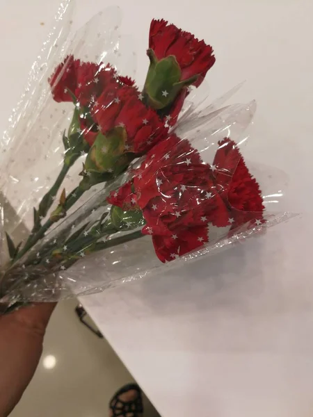 red roses in a vase on a white background