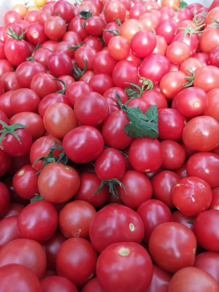 fresh tomatoes on the market
