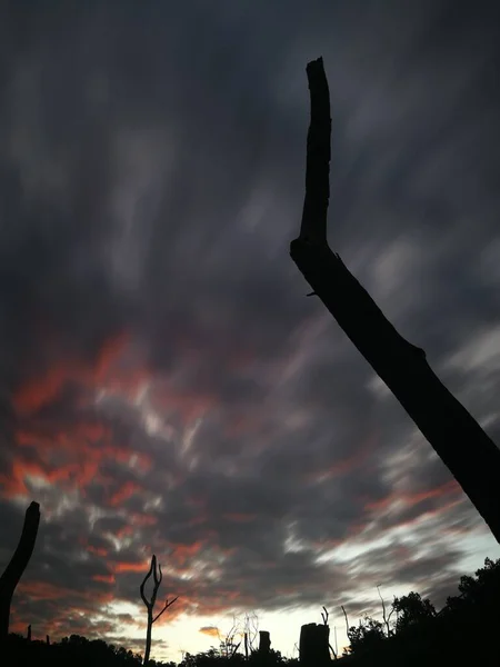 silhouette of a man in the sky