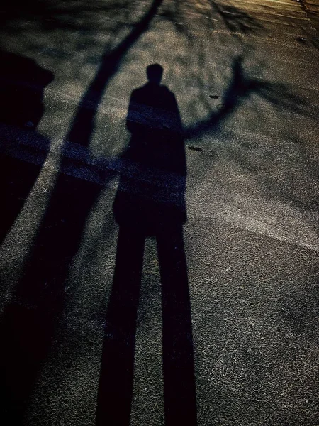 silhouette of a man walking on the street