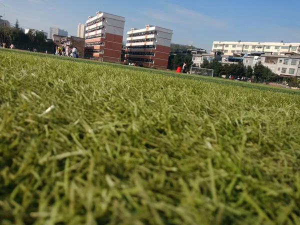 green grass and a football field