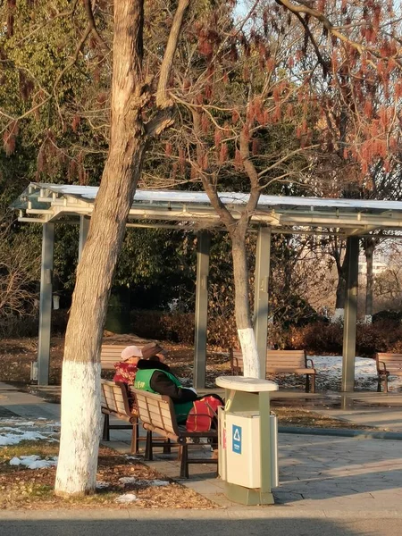 a view of a bench in the park