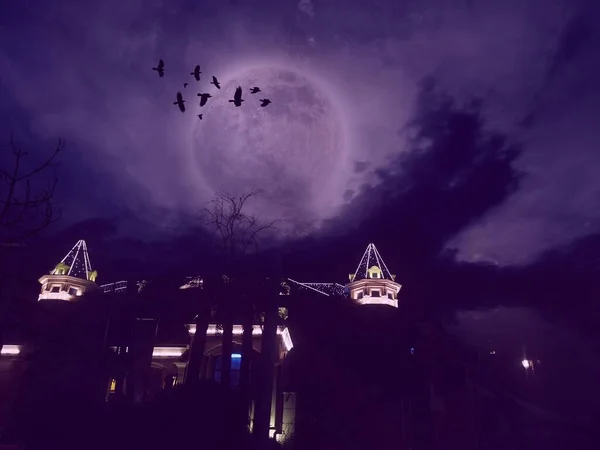 halloween night scene with moon and bats