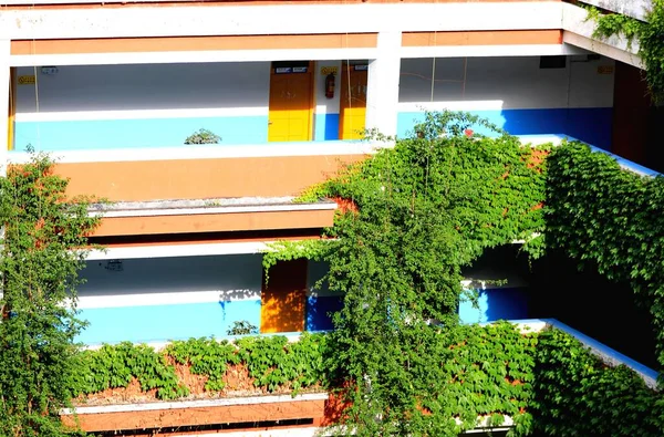 modern apartment building with green plants and windows