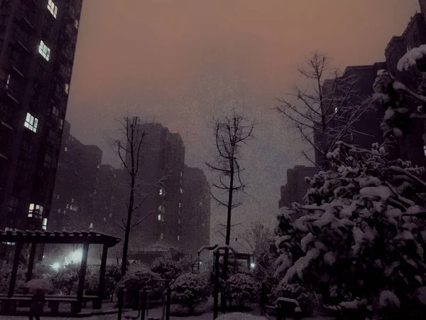 view of the city of the park in the fog