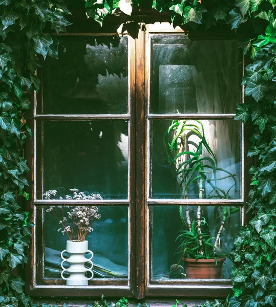 window with green leaves and a wooden door