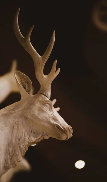 close up of a deer head