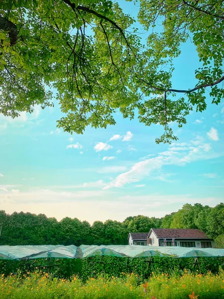 beautiful landscape with a wooden fence and a blue sky