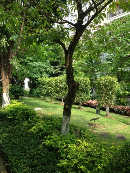 beautiful garden in the park