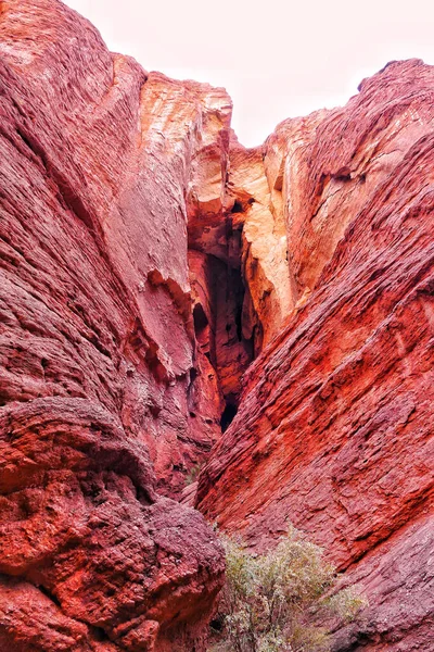 Червоні Скельні Утворення Пустелі Утох — стокове фото