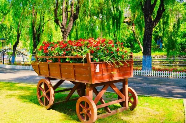 beautiful garden cart with flowers in the park