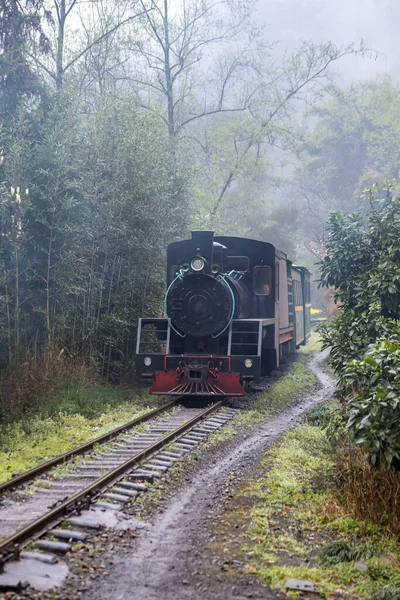 old train in the forest
