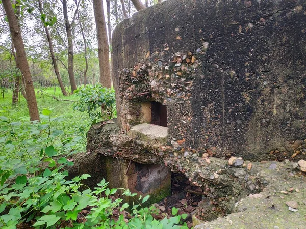 old stone house in the forest