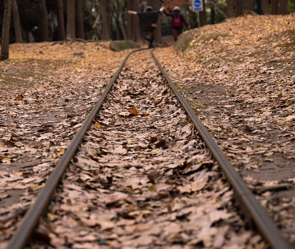 railway tracks on the road