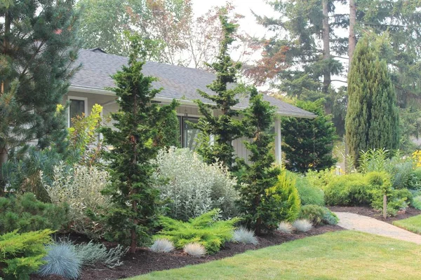 beautiful garden with green grass and trees