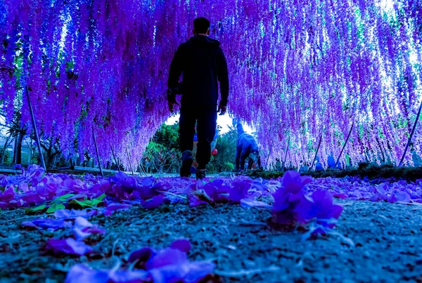 man in a black jacket and a purple dress walking in the park