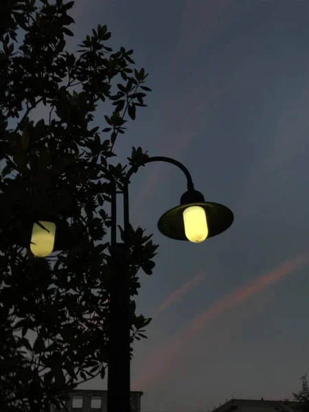 street lamp on the night sky