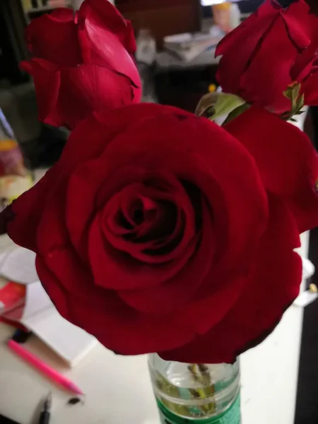 red roses in a vase on a wooden table